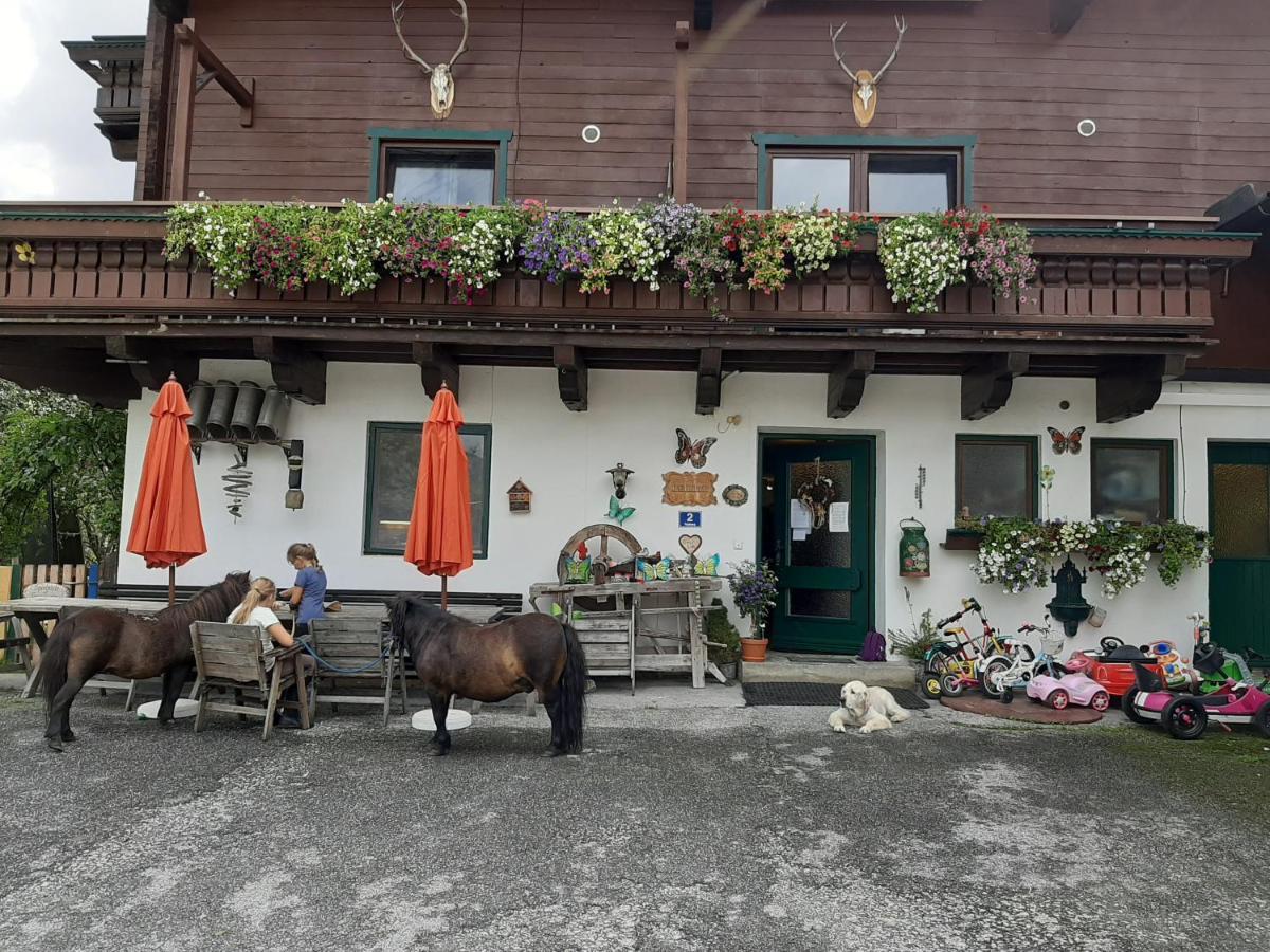 Apartments Teglbauernhof, Huette, Chalet, Mobilheim, Appartement, Ferienwohnung, Pension, Urlaub Uttendorf Exterior foto